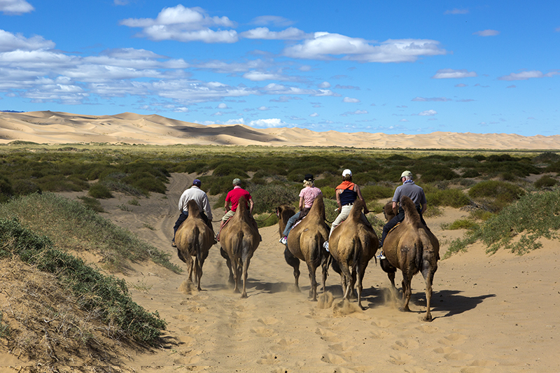 gobi events mongolia